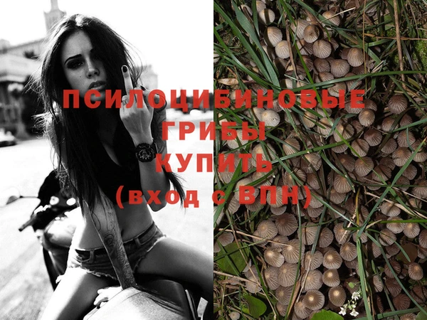 mix Армянск