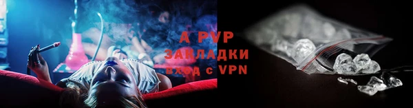 спиды Аркадак