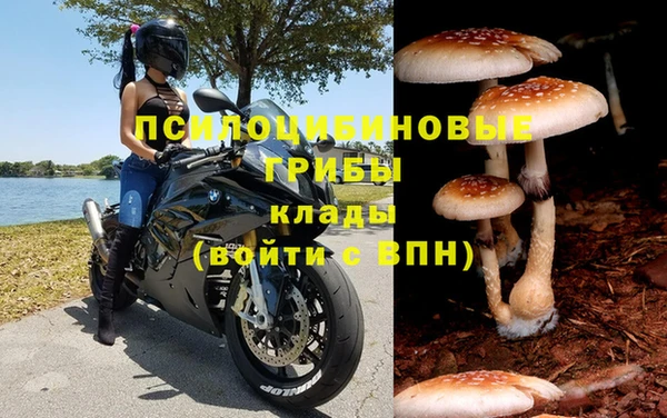 спиды Аркадак