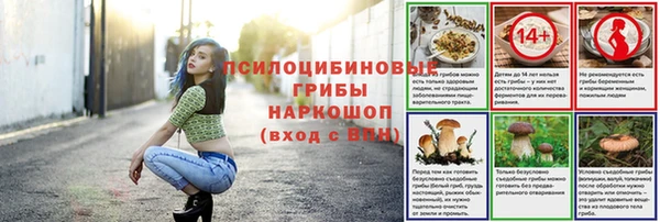 эйфоретик Арсеньев