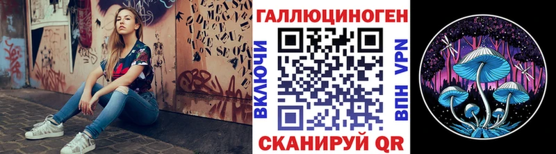 Псилоцибиновые грибы мицелий  Циолковский 